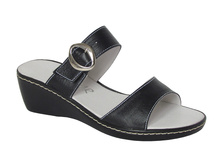 443 ���� ����.