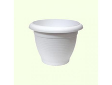 ����� (������) ����� , ����� ��� �������.jpg