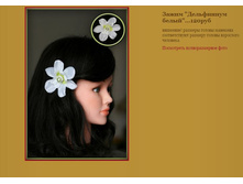 ����� ���������� �����.JPG