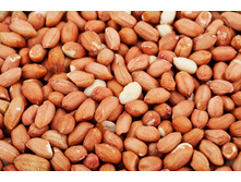 ������ ��������� �����