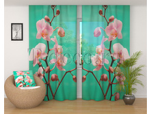 01821 ������� �����.jpg