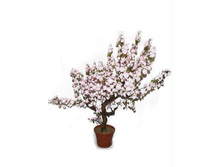 27___ ��100/2�/46� - 3400