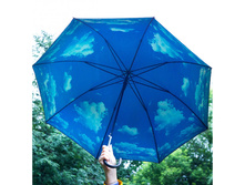 ���� ���� 650 ���.