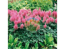 �������� ������ 1 ��.jpg