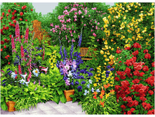 ������� ��� (200�140).jpg