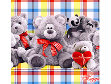 ������������ ��� ���� �����.jpg