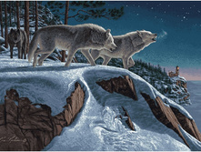 ������ ���� (110�70).jpg