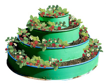 ������ 4-� �������-2490�