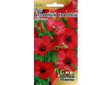 �� �������� �������. 6 ���� �������� 1 ��..jpg