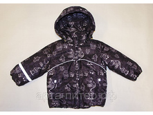 ���.0136-24.jpg ������ ����� �-1100 ���.