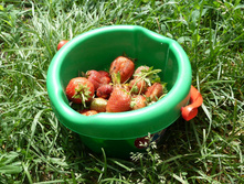 P1120157.JPG