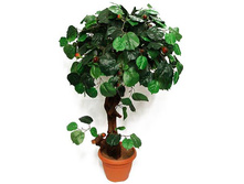 �� 80/30� - 3725