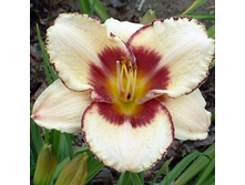 �������� ���� ������ 214,8�