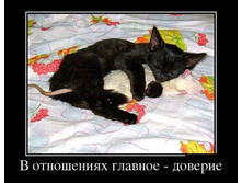 demotivators_13.jpg