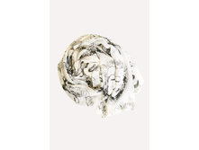 ����1516015004 - 349+%.jpg