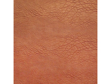 ����� �������.jpg