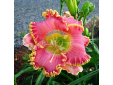 �������� ����� ����.jpg