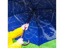 ���� ��������� 750 �.