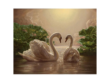 �� ����� 48*38 Ag5853-1097 ���.