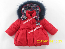 IMG_1596 (����������).jpg