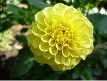 �������� ������ ��� 89,4