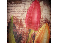 MC85X ��� 2.jpg