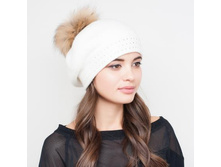 ����� Dis699S �����.jpg