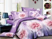 ����-����� CSX-1502.jpg