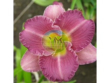 �������� ����������.jpg