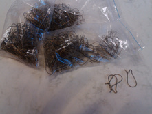 IMAG3809.jpg