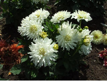 �������� ����� 84�