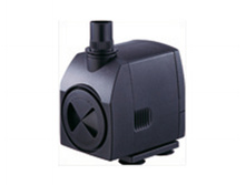 ����� � ���������