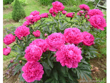 ����  ������ 238,8�