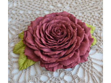 ����. �������� ��������� (������): �����, �������-�������, �������-�����, ������, ����������� ������� � �.�.