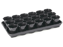 ����� ��� ������� 18�� 200�� 168�.gif