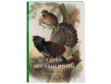 ����� �������� �����.jpg