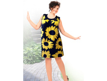 CLEO 438. 857 ���.jpg