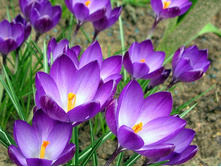 ������ ���� ������.jpg