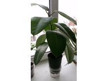 20150131_145305.jpg