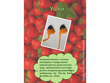 ������� �� �����������8.jpg