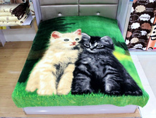 ���. 30*02-6*6