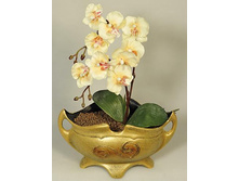 �� 35*2/33 - 850