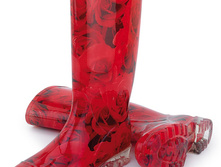 W 045 Red Roses  1560 ���