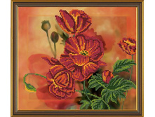 ���.���.��� 3157 ����������� ���� 30x26 �� ���� 271.jpg