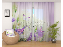 00984 ������ �������.jpg