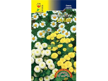 ��������� ����� ����� �����������. 8 ���. �������� 3 ��..jpg