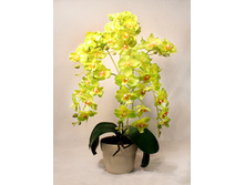 �� 55*2/33 - 1100