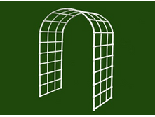 ���� "������� ������" �����