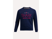 ���������519019903 - 1103+%.jpg