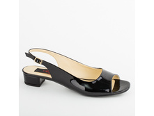 2033 33-44�  ������ 2200.jpg